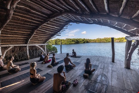 Lifestyle Yoga Life image