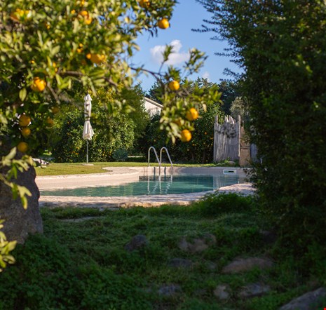 Muravera Double Room Package 965.909090909091 stay image